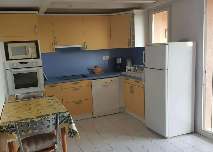 Duplex 3 Pieces Avec Piscine, Climatisation Et Garage A Port Camargue - Fr-1-250-192 Daire *